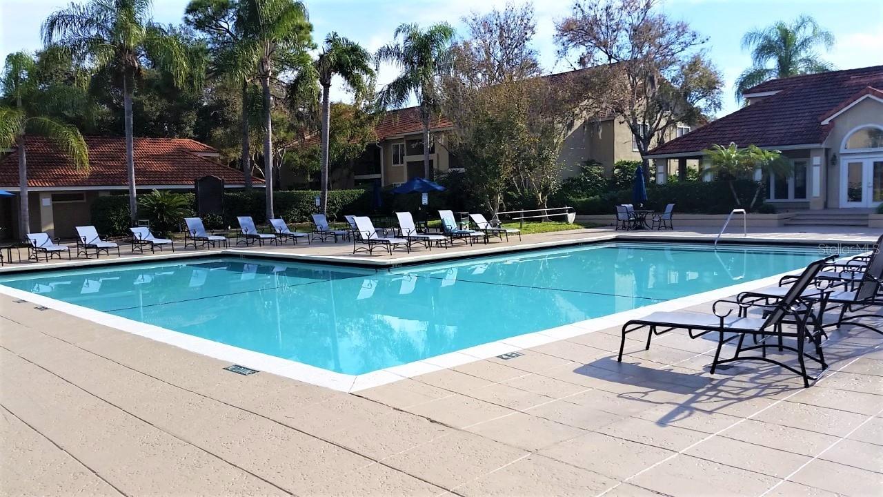 4009 Crockers Lake Blvd #11 Property Photo 14