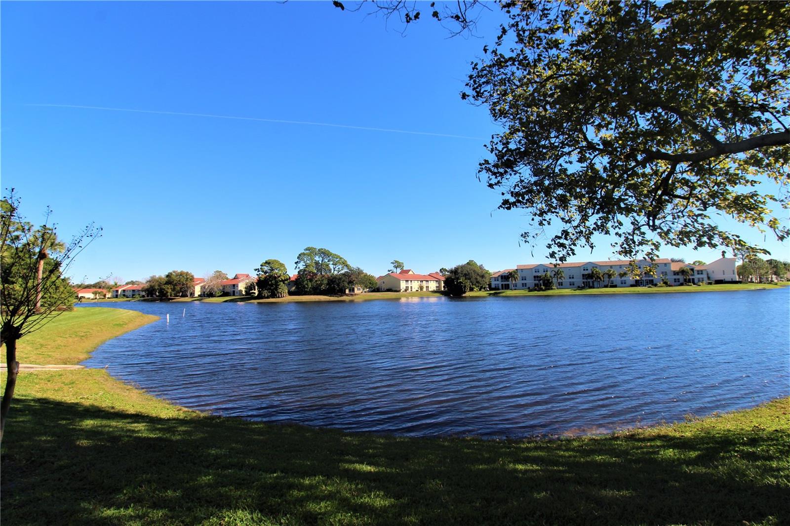 4009 Crockers Lake Blvd #11 Property Photo 17