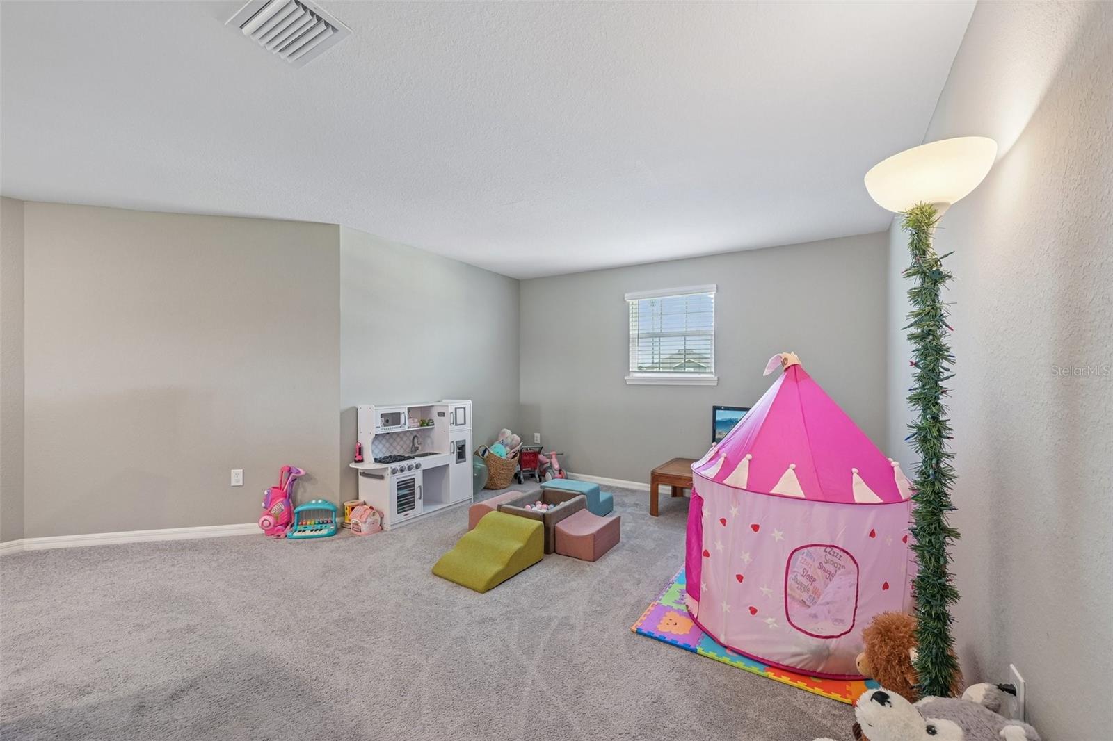 16113 67th Ct E Property Photo 20