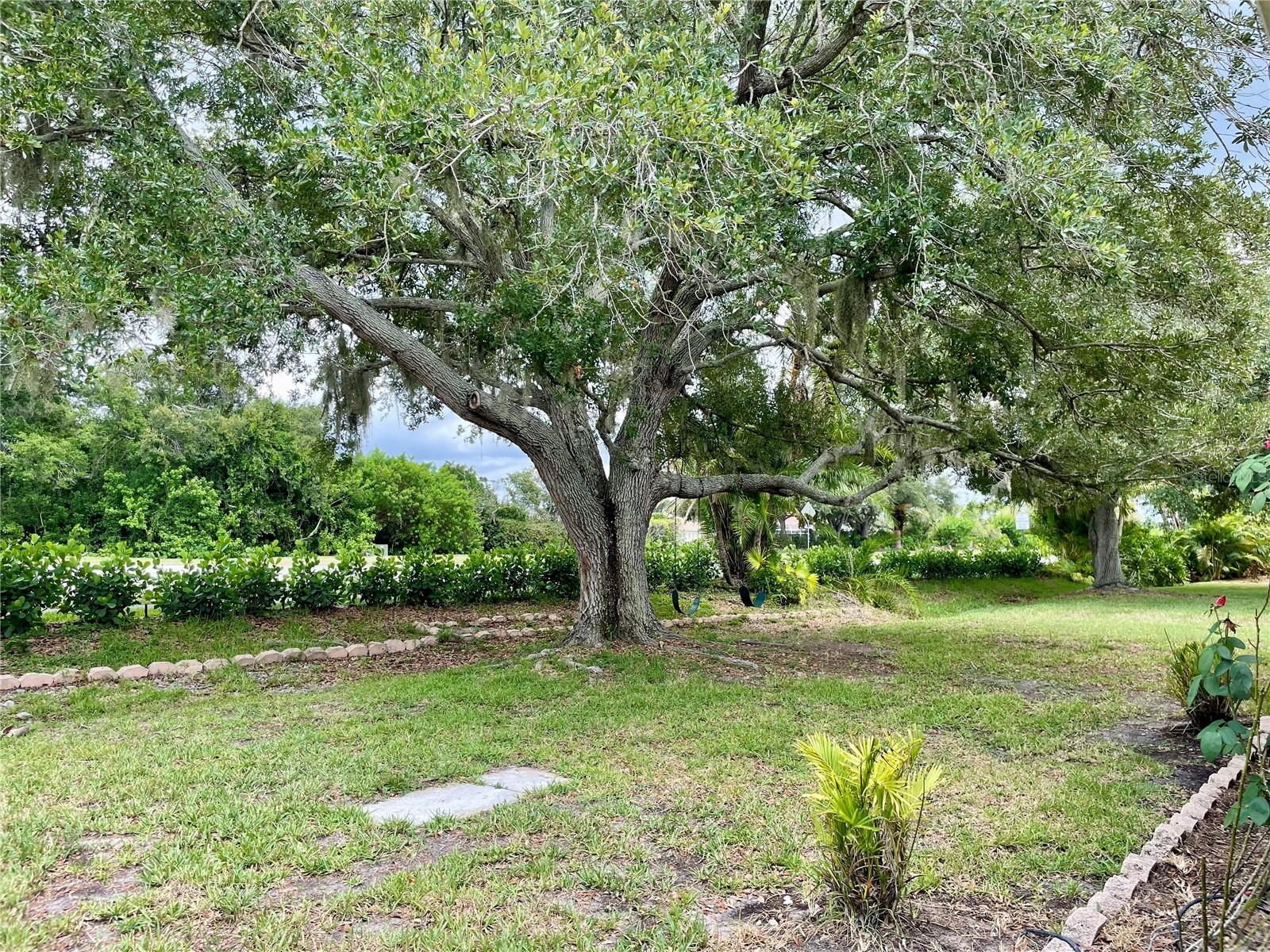 6813 Winslow St Property Photo 19