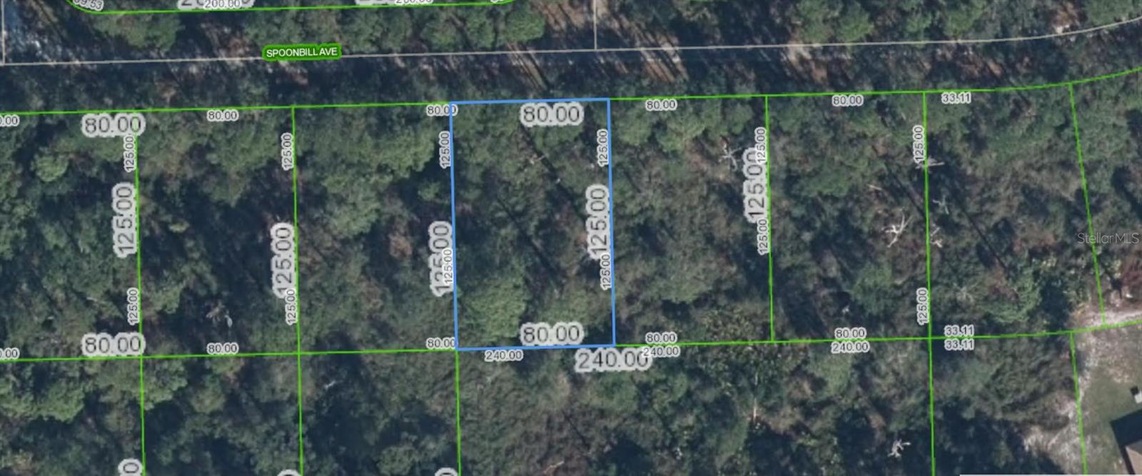 3224 SPOONBILL AVE Property Photo 1