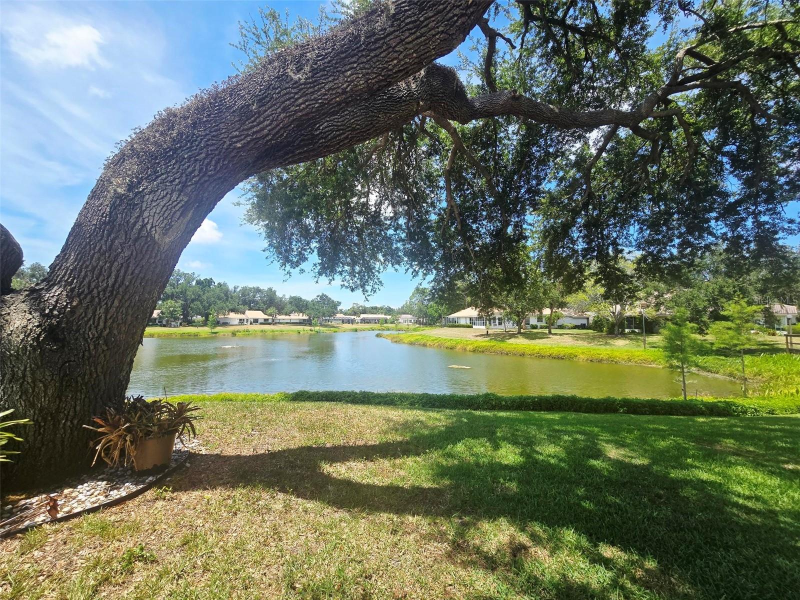 5808 Garden Lakes Dr Property Photo 5