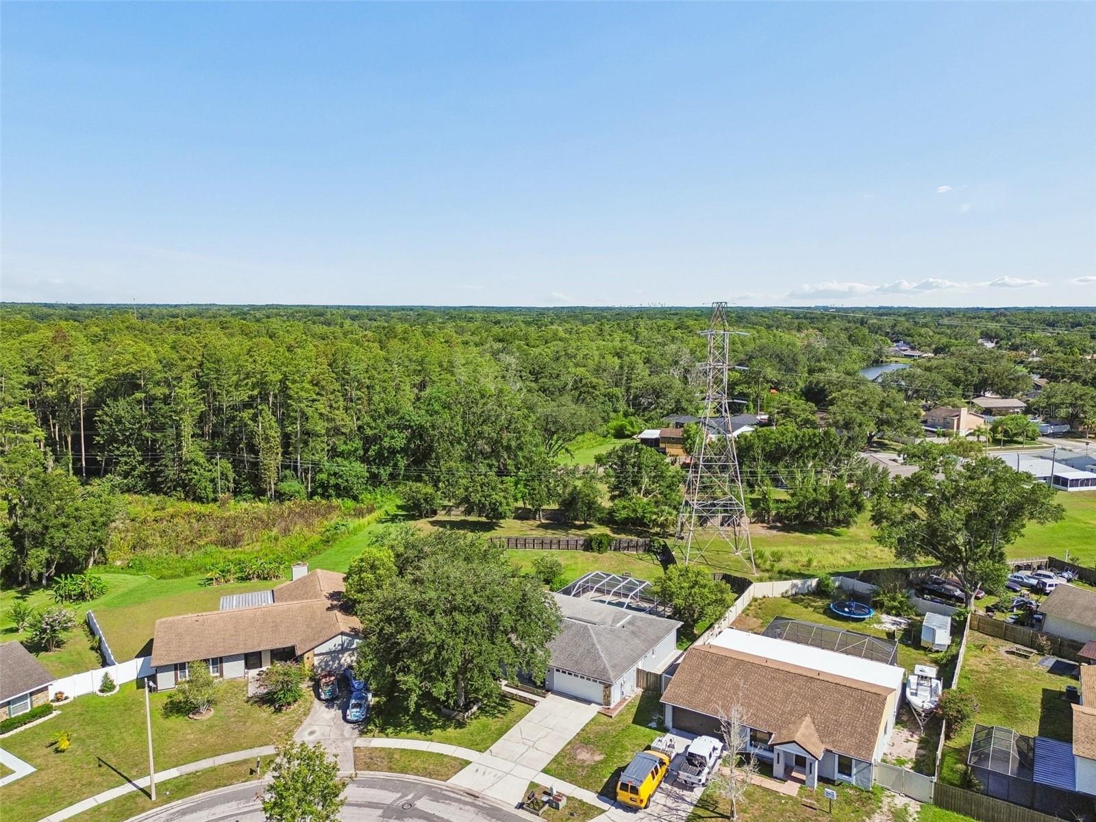 16205 Sawgrass Cir Property Photo 58