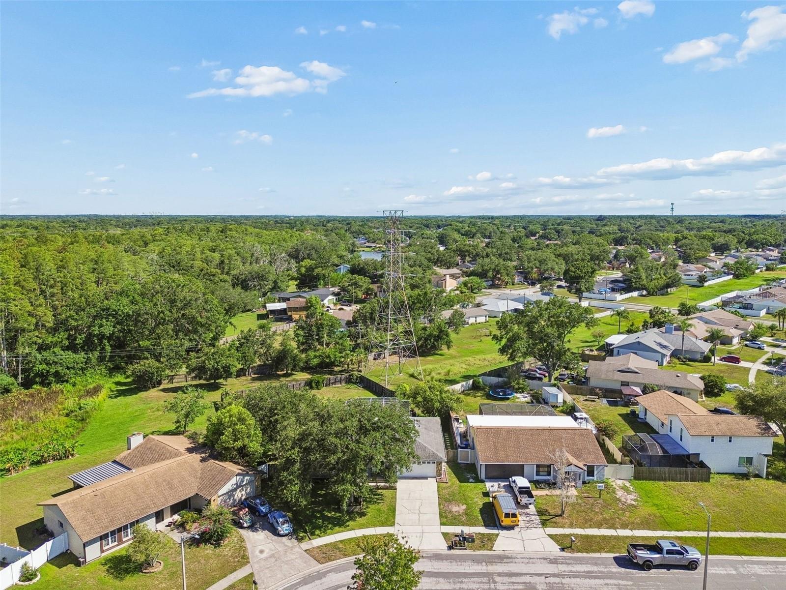16205 Sawgrass Cir Property Photo 59