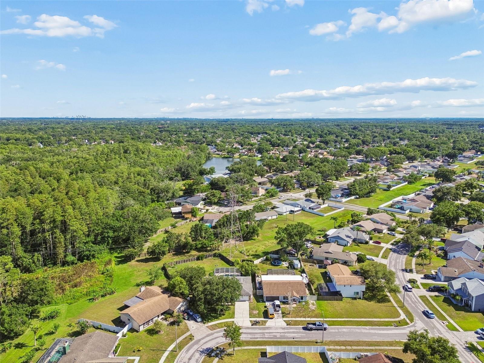 16205 Sawgrass Cir Property Photo 61