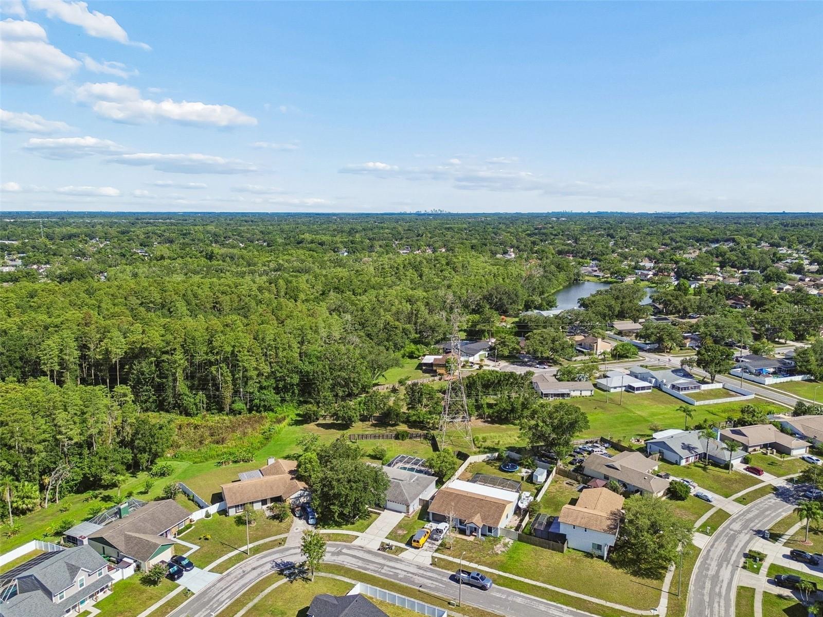 16205 Sawgrass Cir Property Photo 62