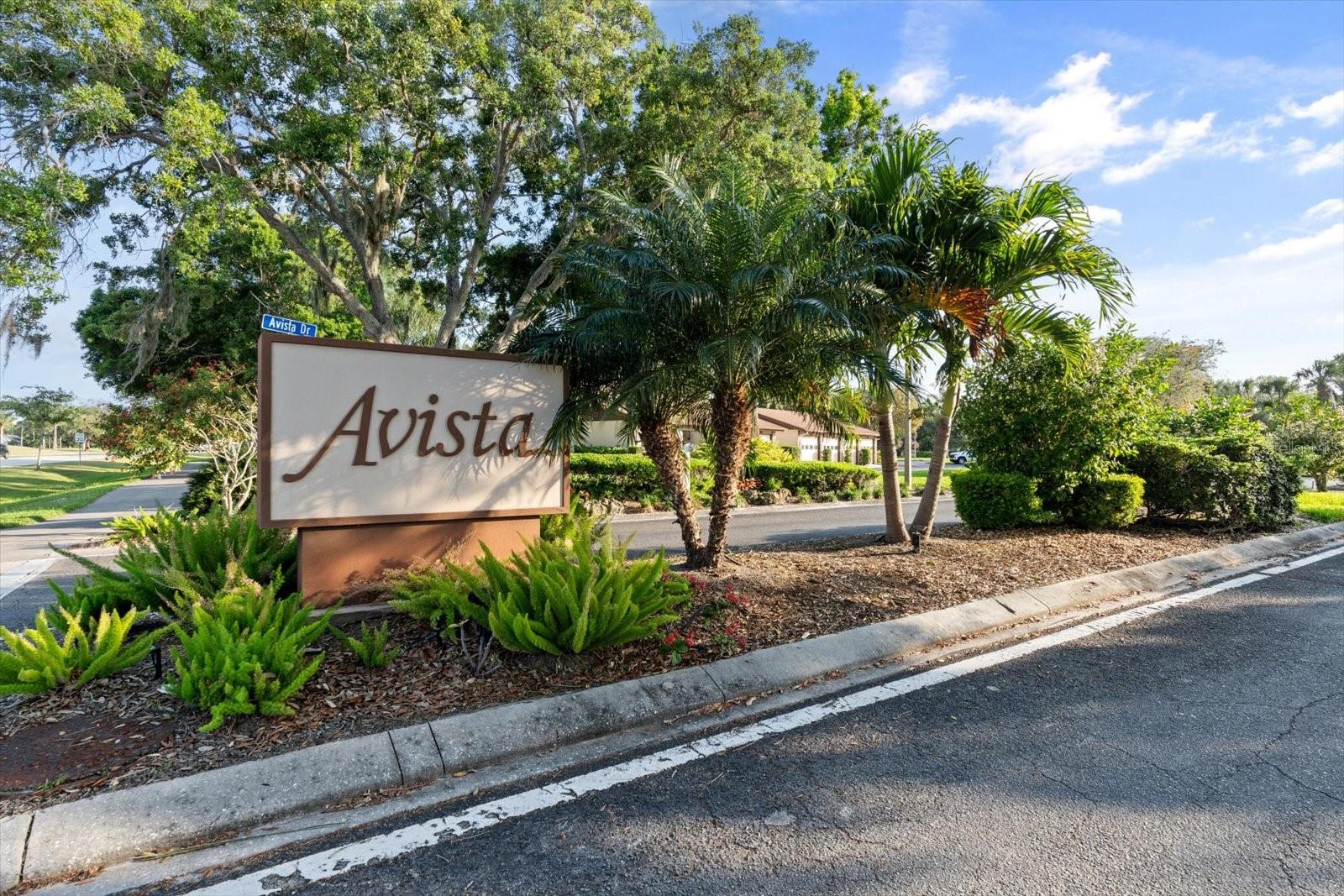 5753 Avista Dr Property Photo 42