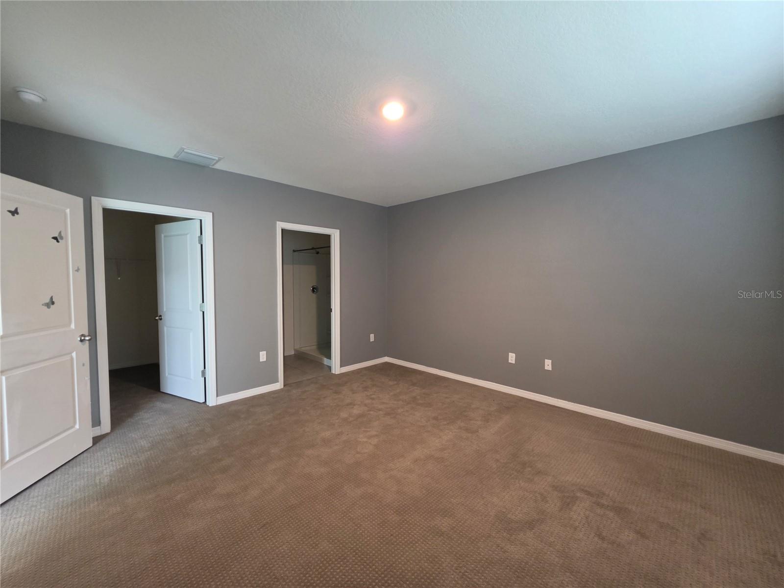 17007 Blister Wing Dr Property Photo 9
