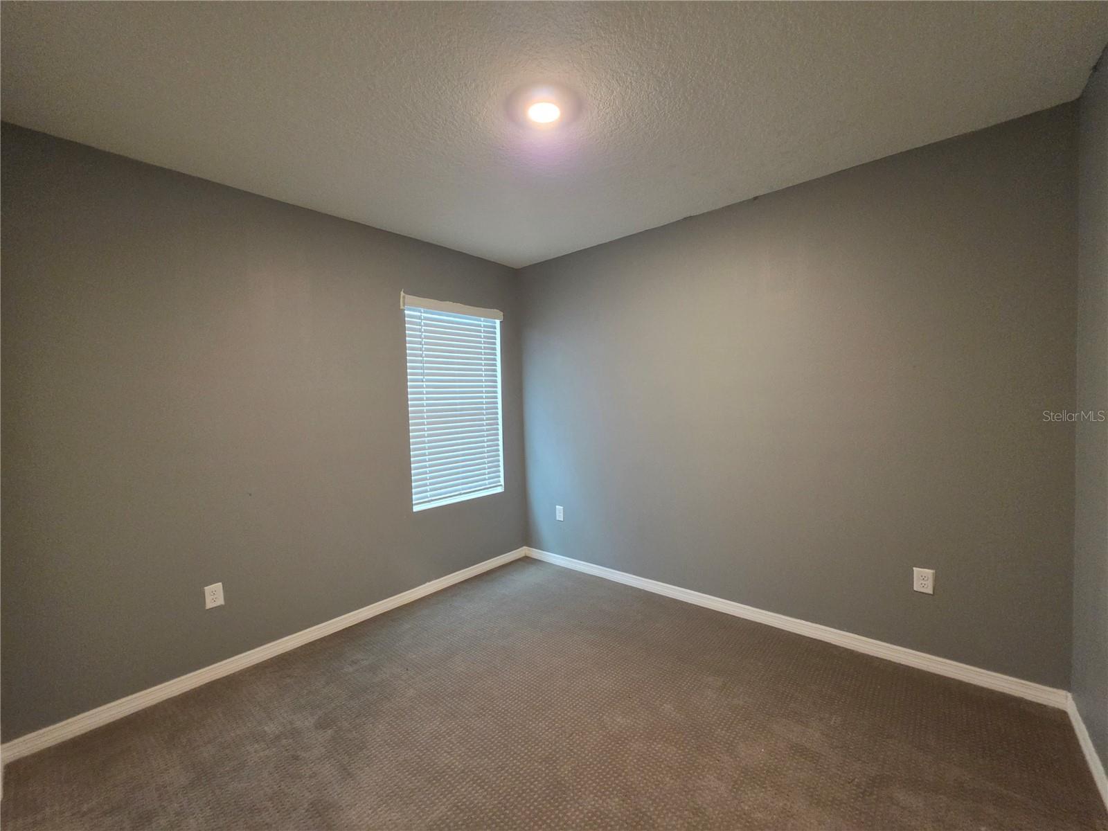 17007 Blister Wing Dr Property Photo 13