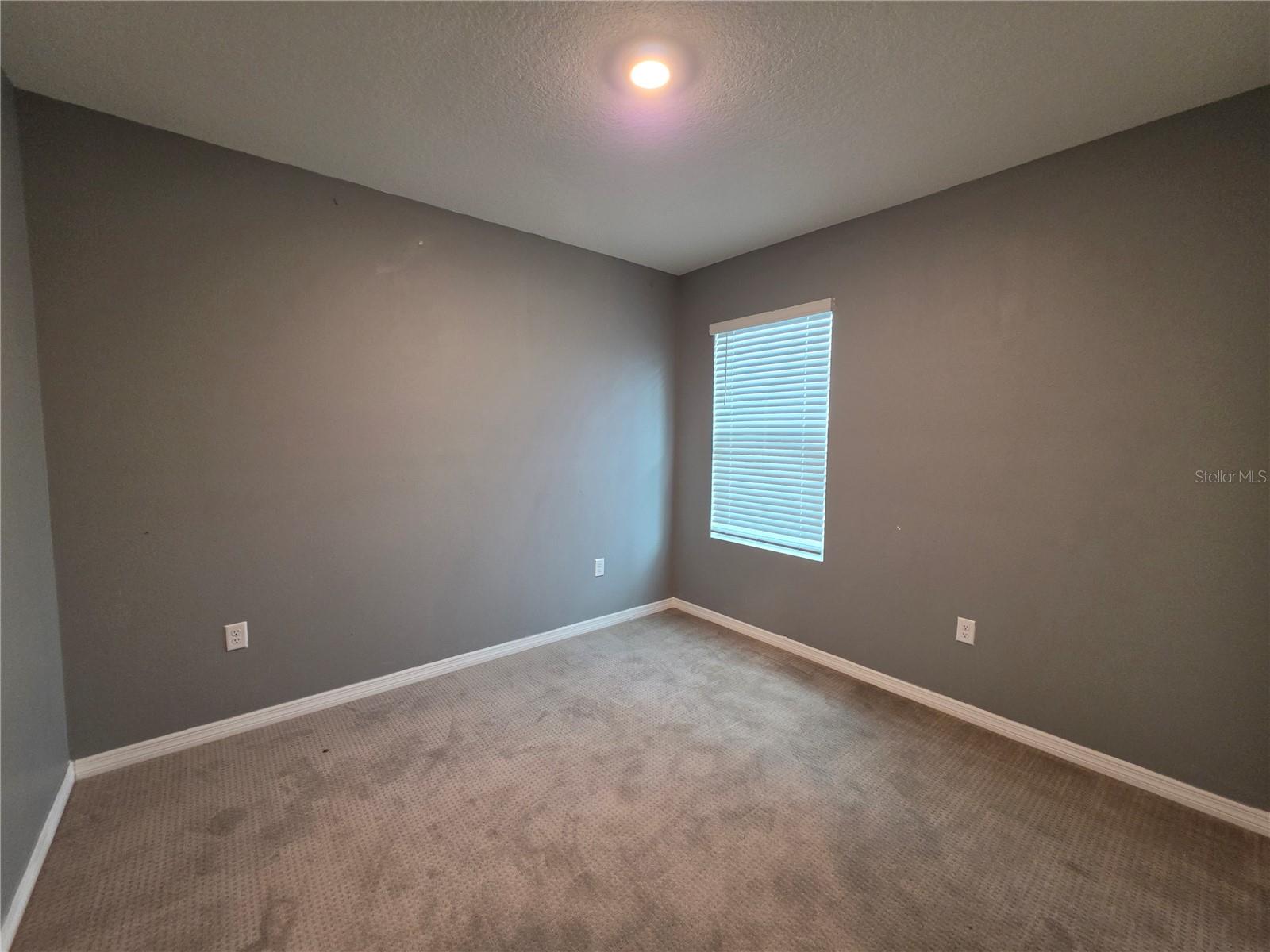 17007 Blister Wing Dr Property Photo 14