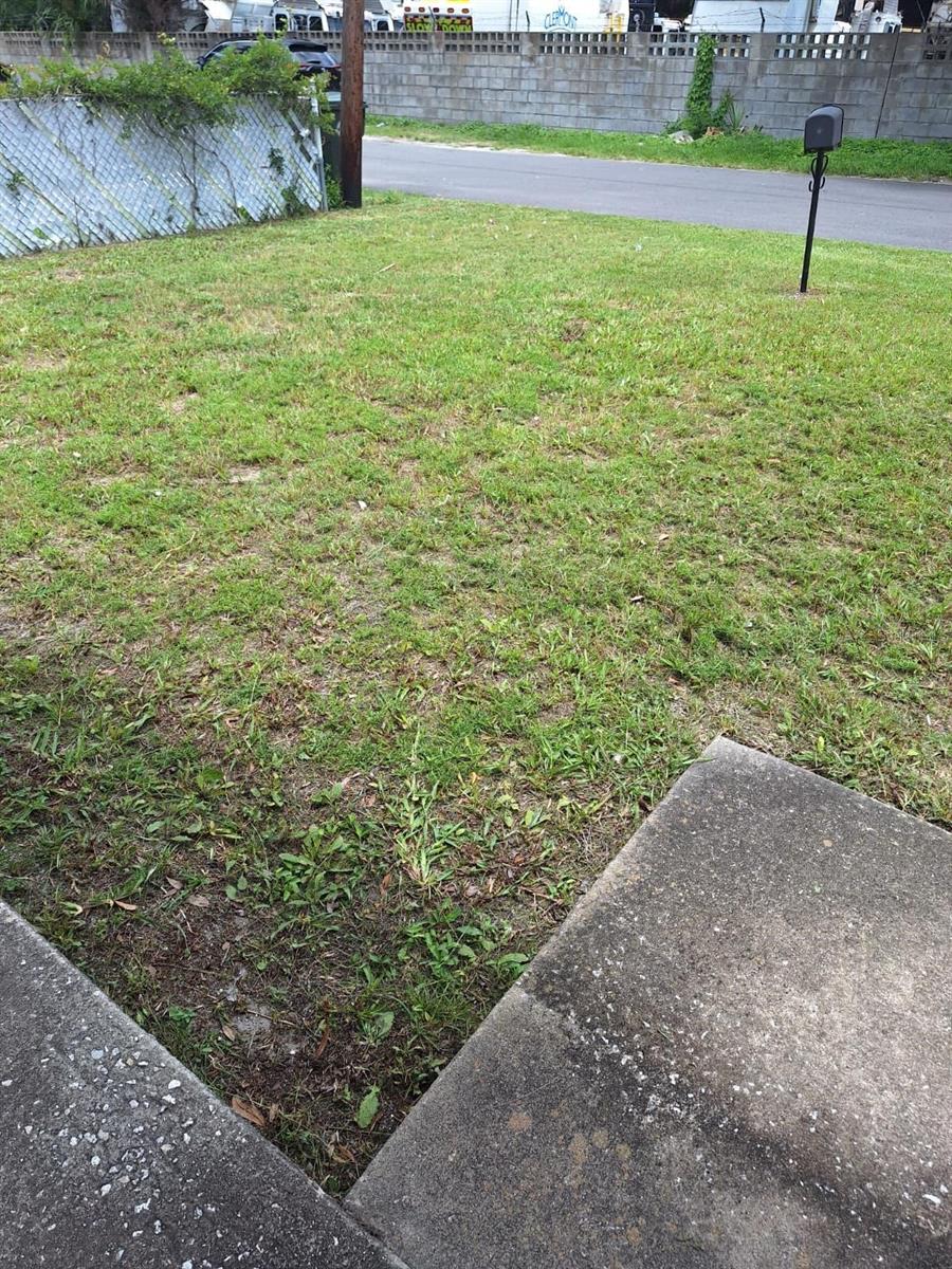 748 Marion St Property Photo 8