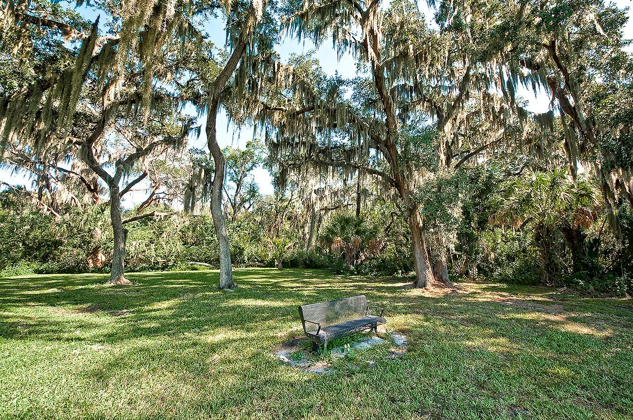 3710 Little Country Rd Property Photo 88