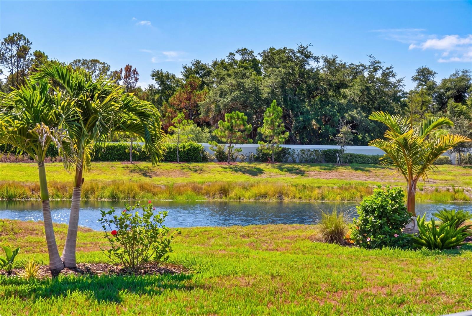 10004 Coral Shore Dr Property Photo 61