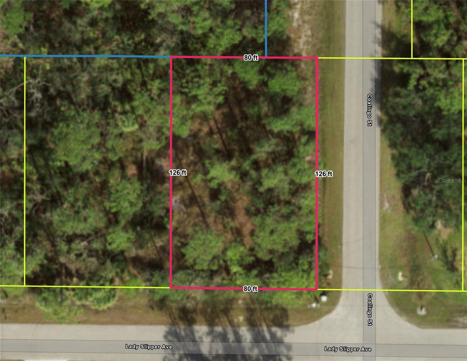 Lady Slipper Ave Property Photo 1