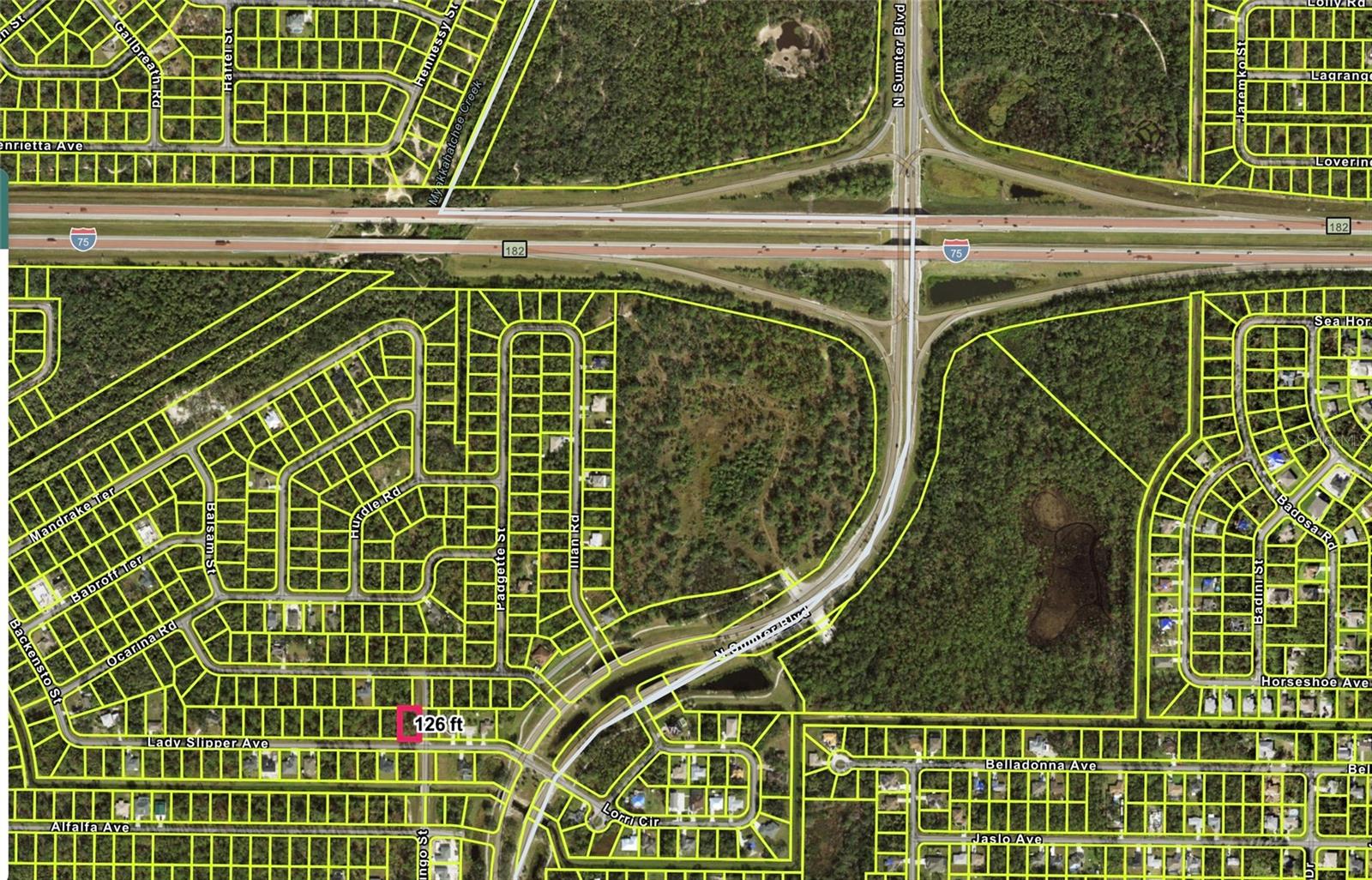 Lady Slipper Ave Property Photo 2