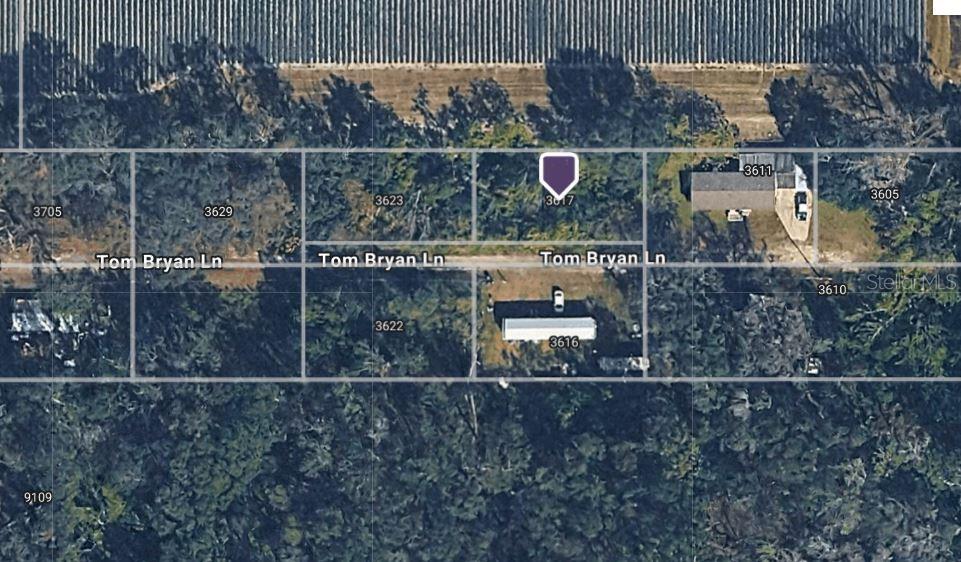 3617 Tom Bryan Ln Property Photo 2