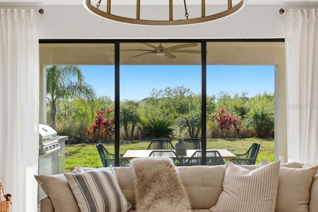 17731 Savory Mist Cir Property Photo 38