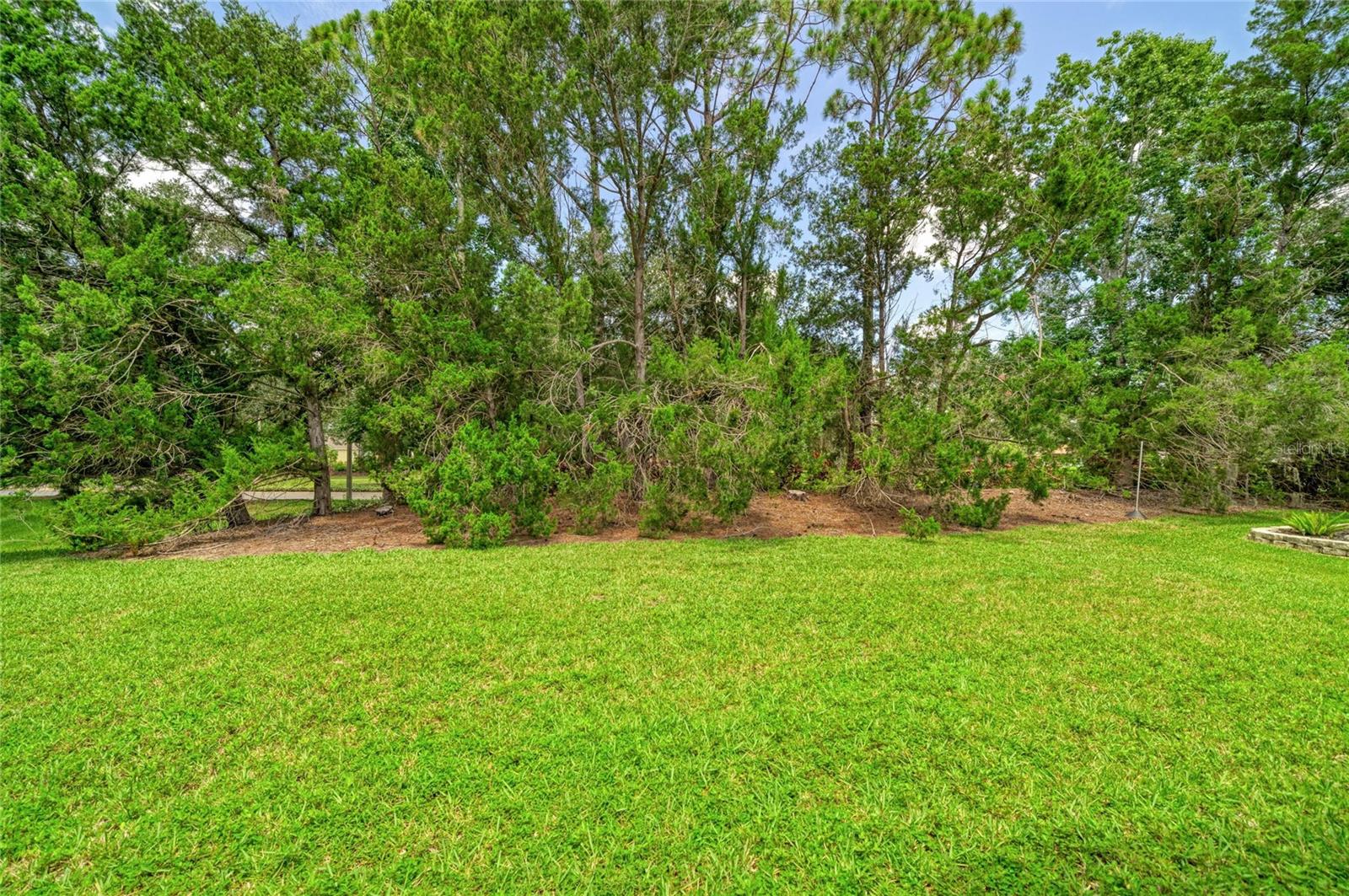 6308 Robin Cv Property Photo 17