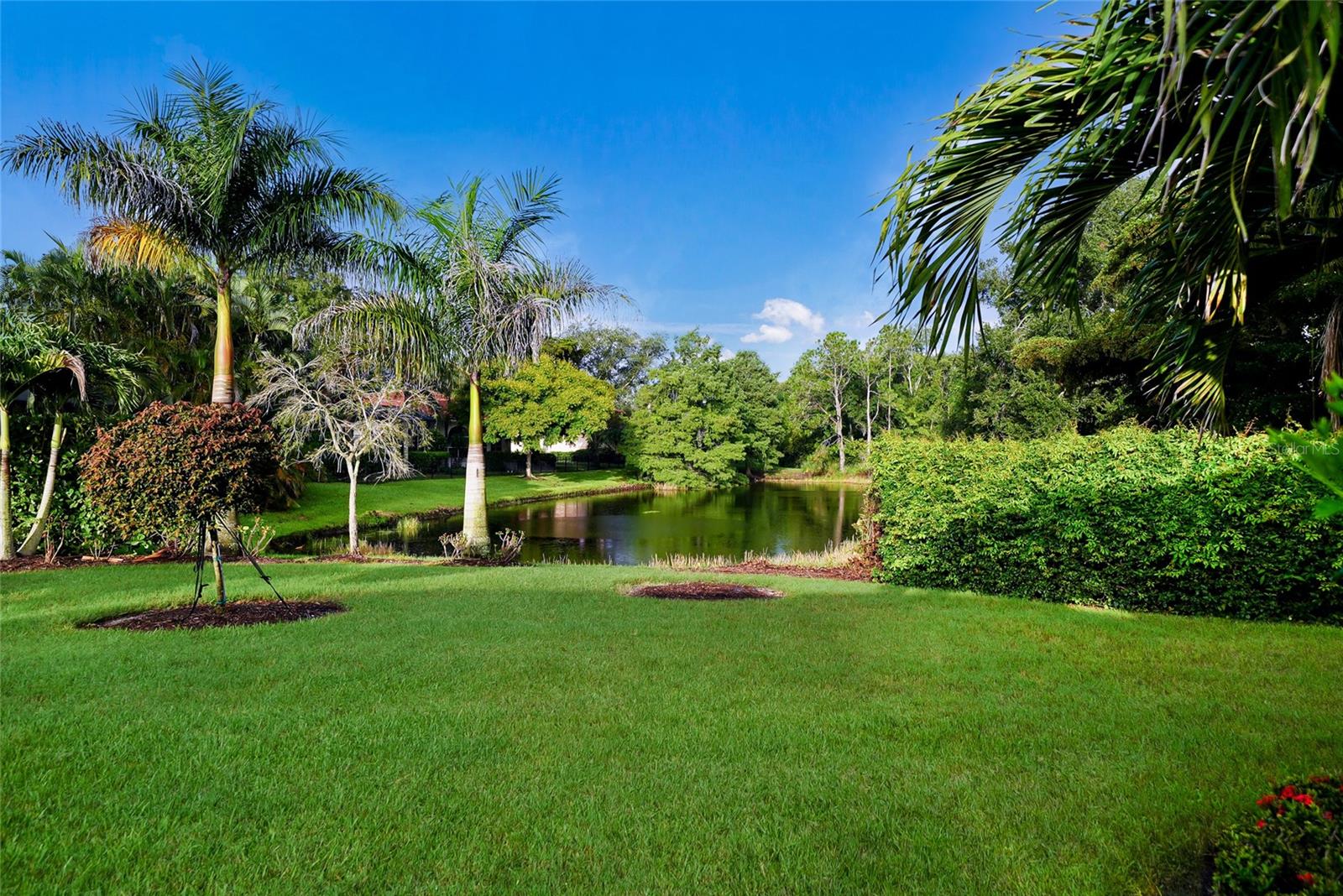 8122 Lone Tree Gln Property Photo 6