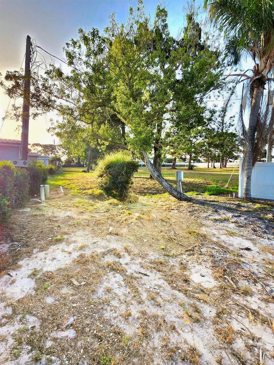 6509 New Jersey St Property Photo 6