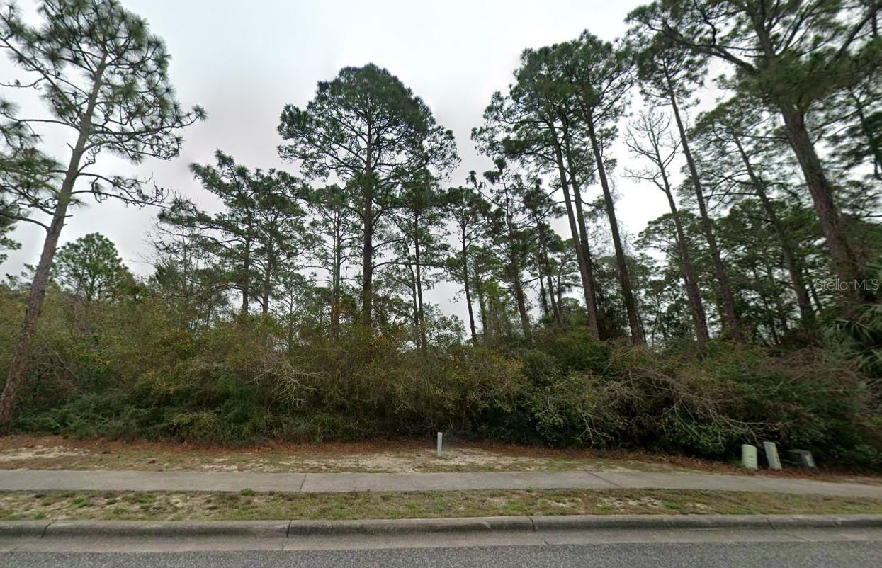 126 Laughing Gull Ln Property Photo 2