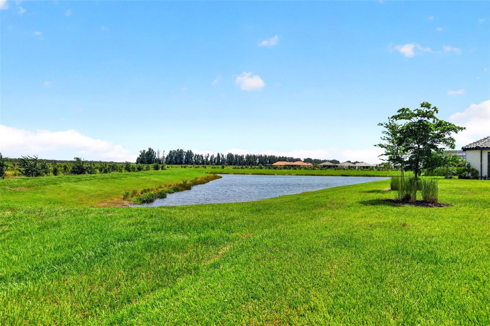 10132 Silent Night Ln Property Photo 37