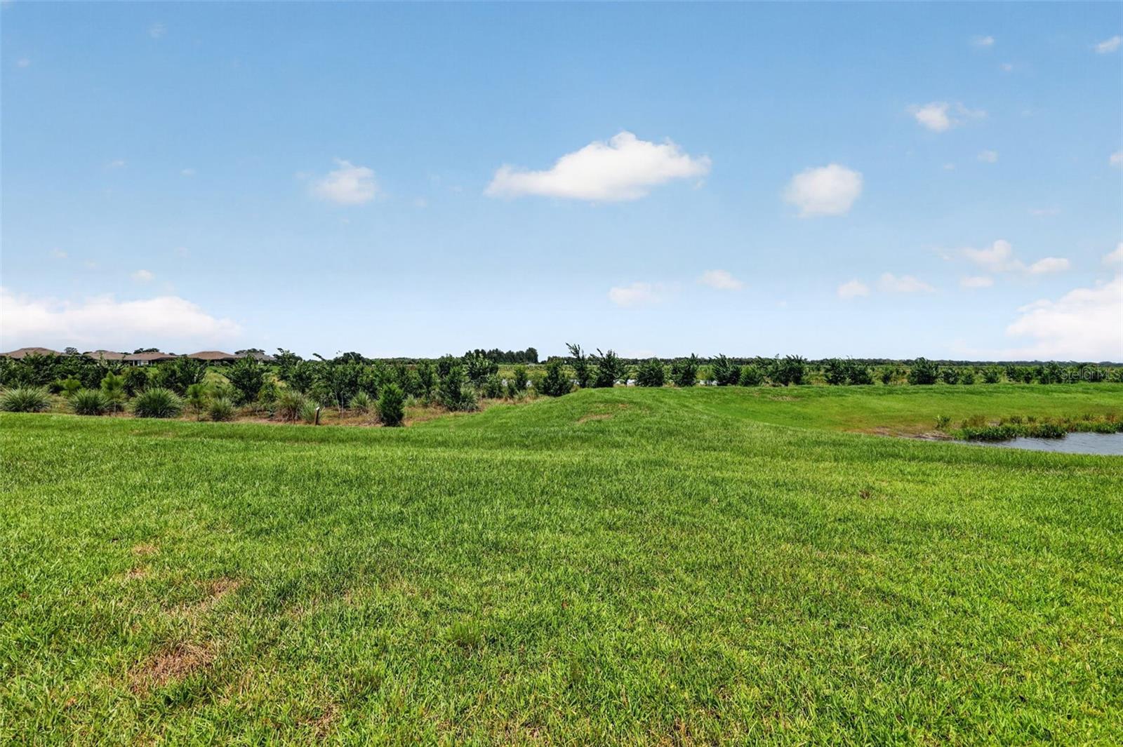 10132 Silent Night Ln Property Photo 41