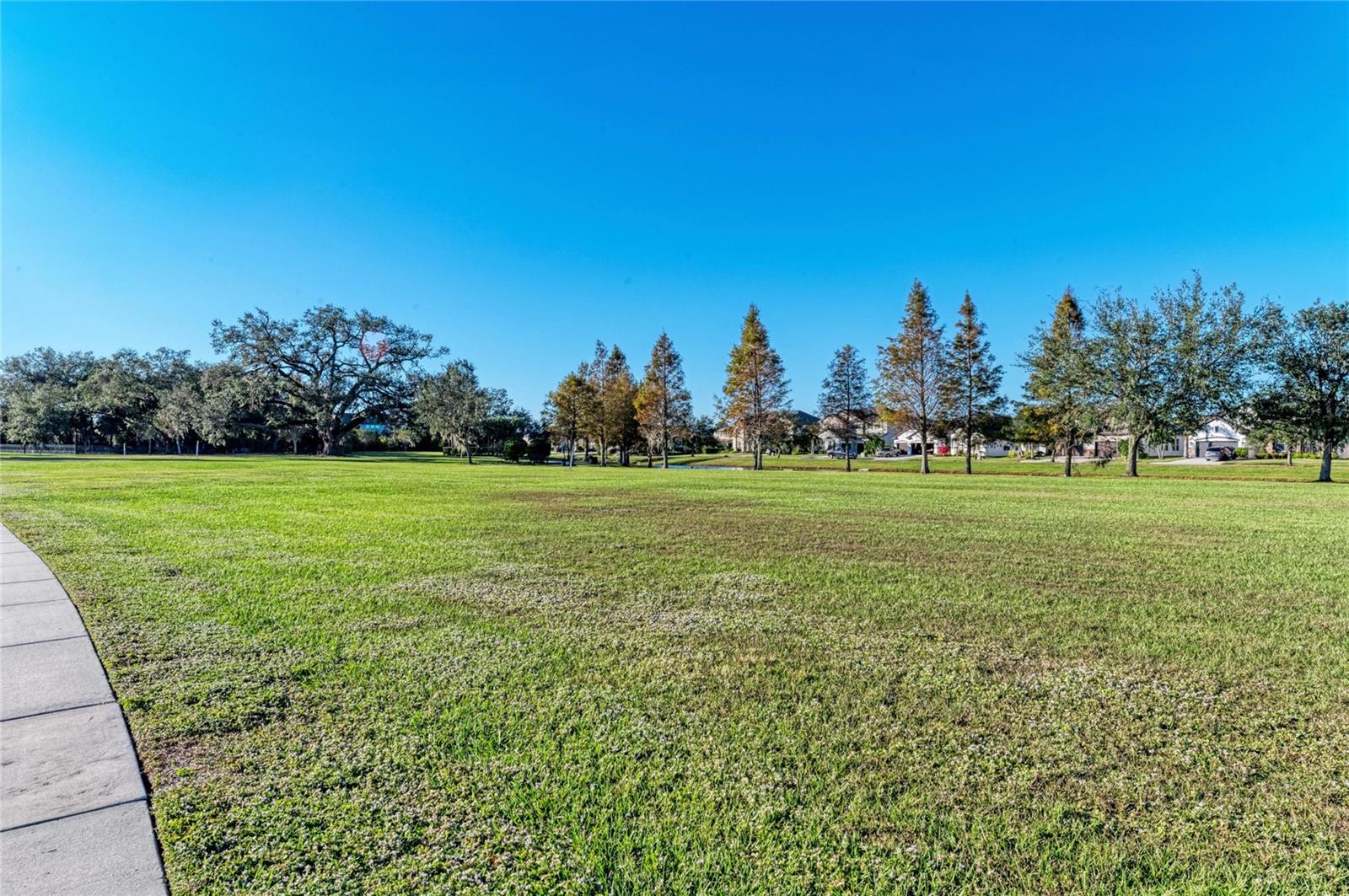 13124 Bliss Loop Property Photo 80