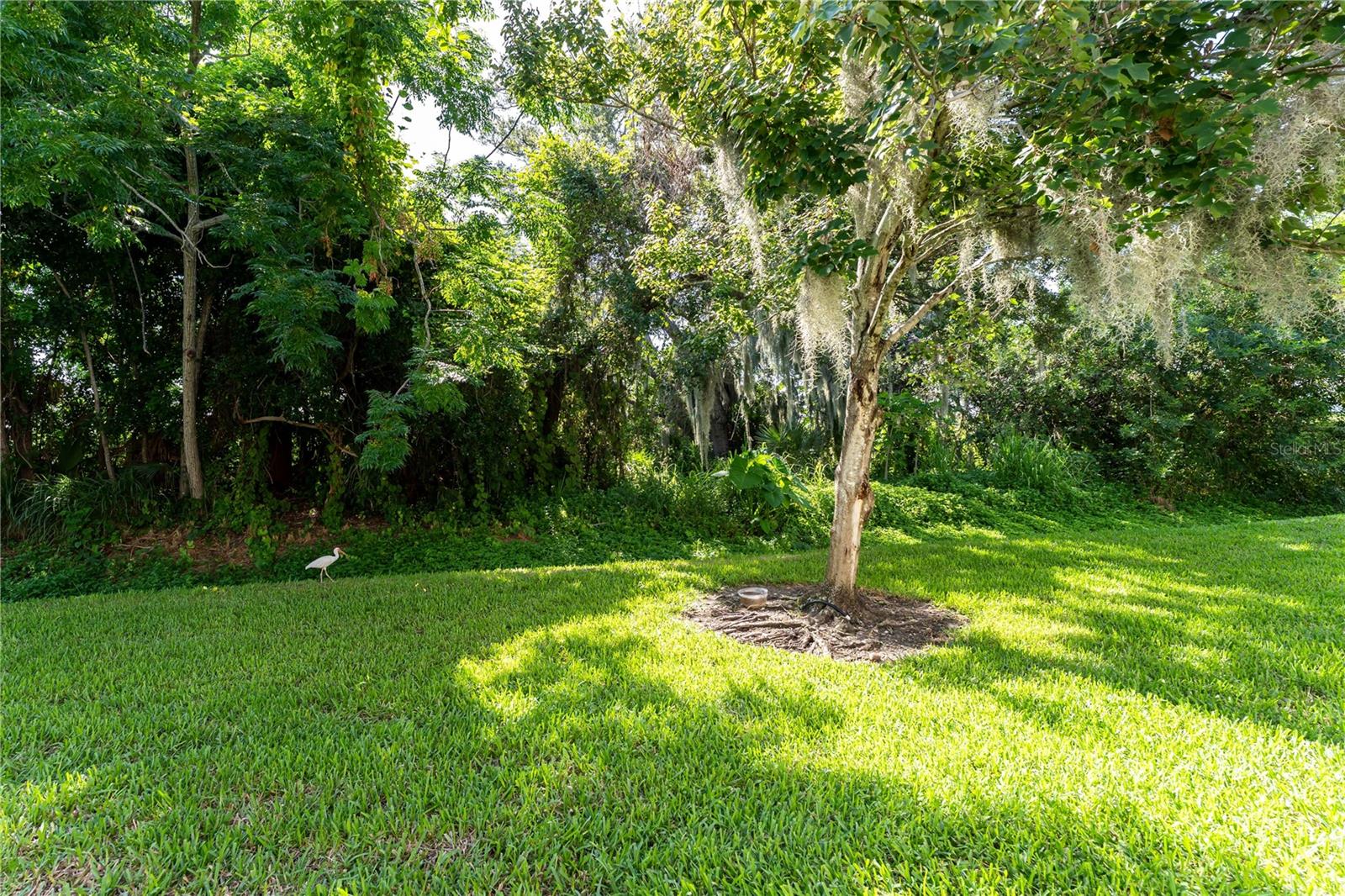 1346 Grantham Dr Property Photo 29
