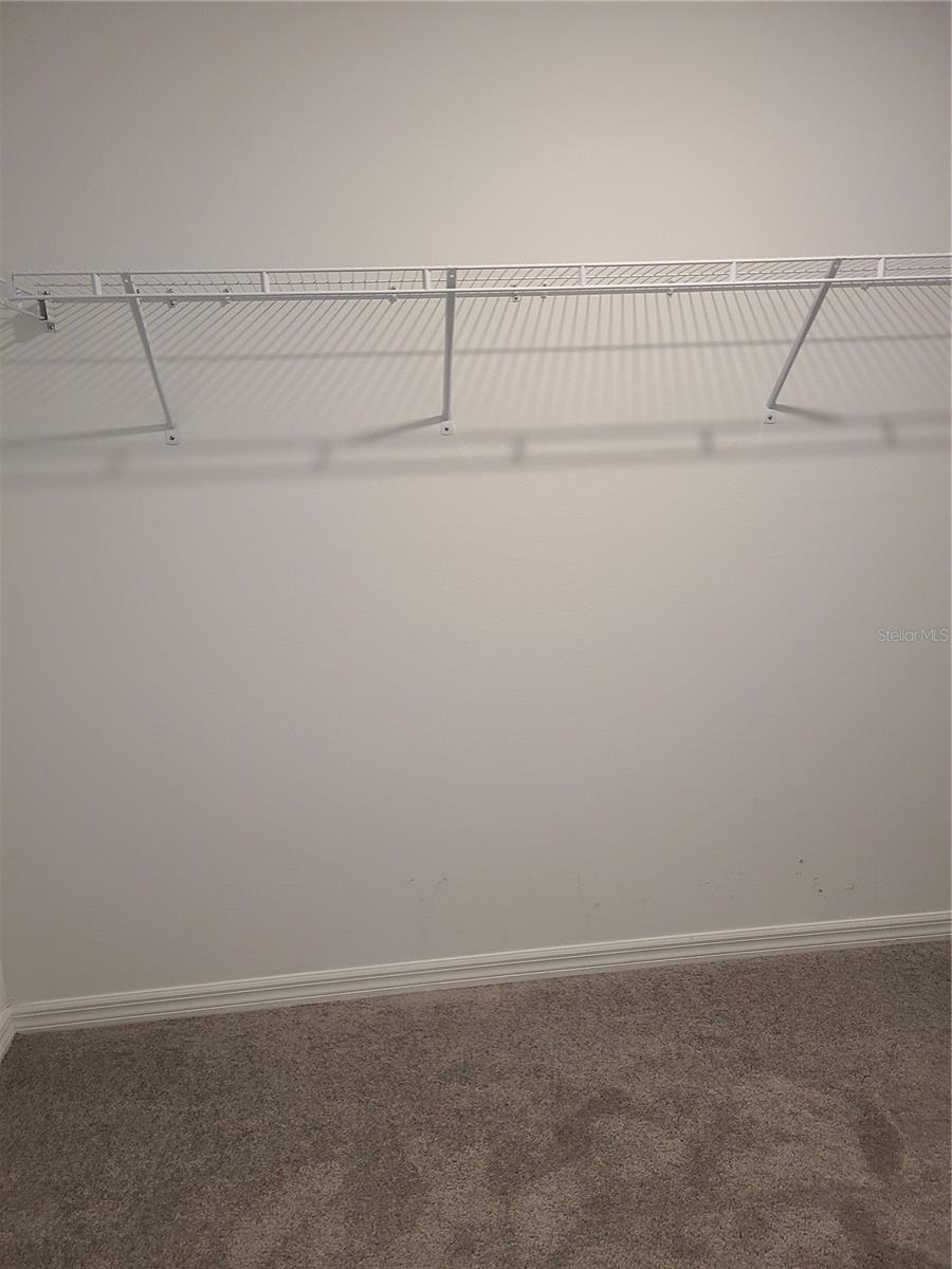 14331 Easy Goer St Property Photo 14