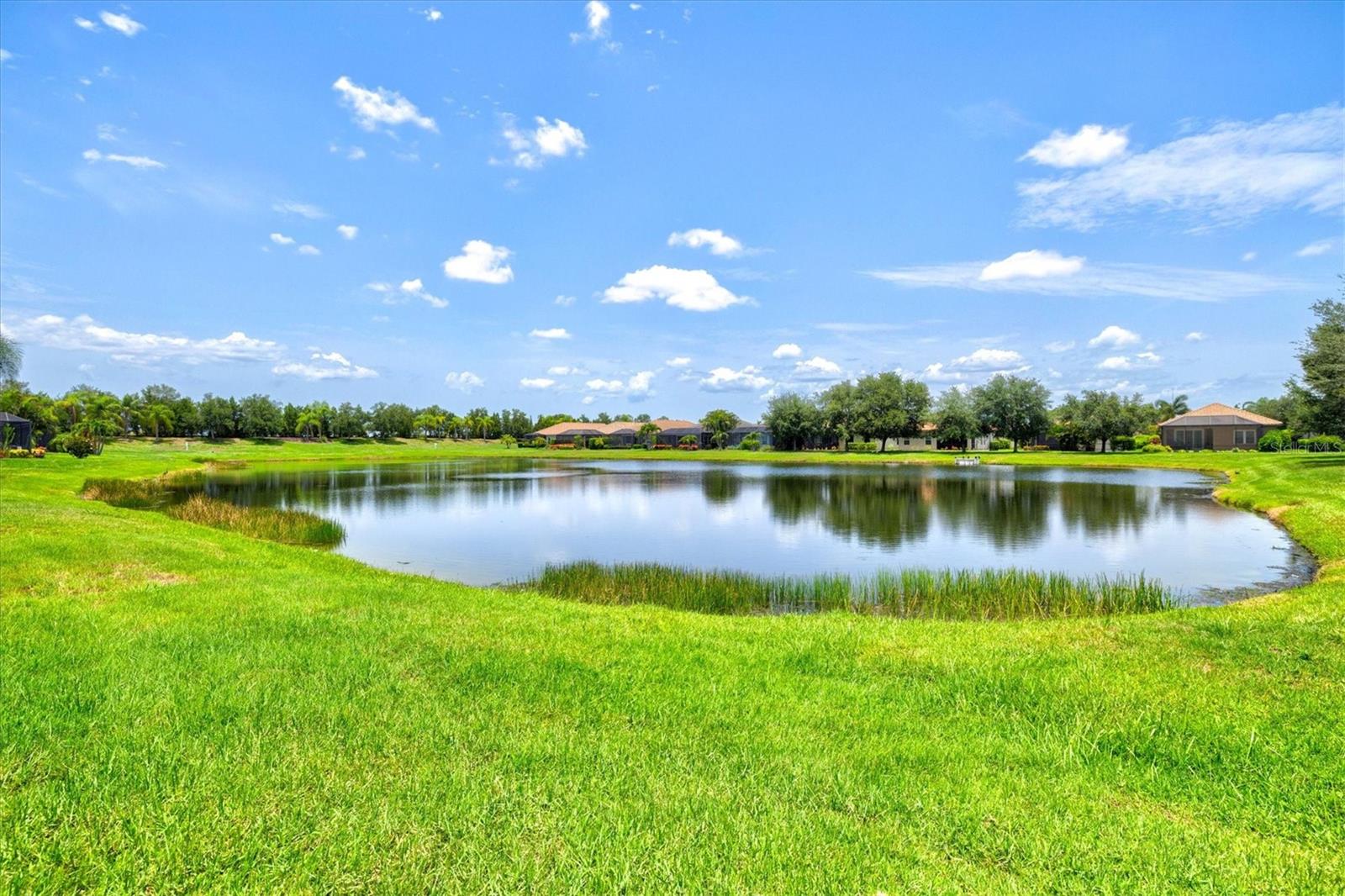 12717 Deep Blue Pl Property Photo 22