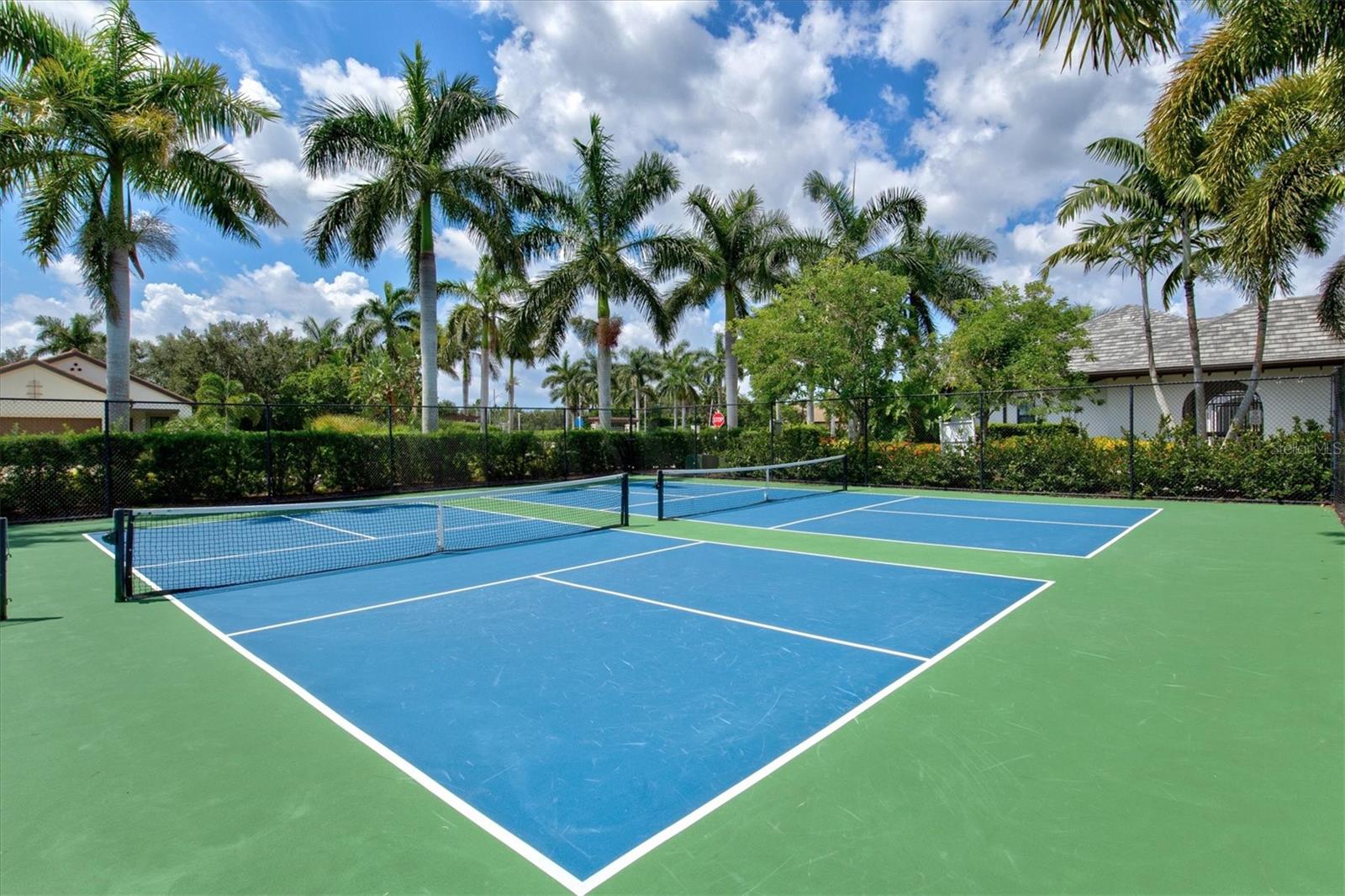 12717 Deep Blue Pl Property Photo 42