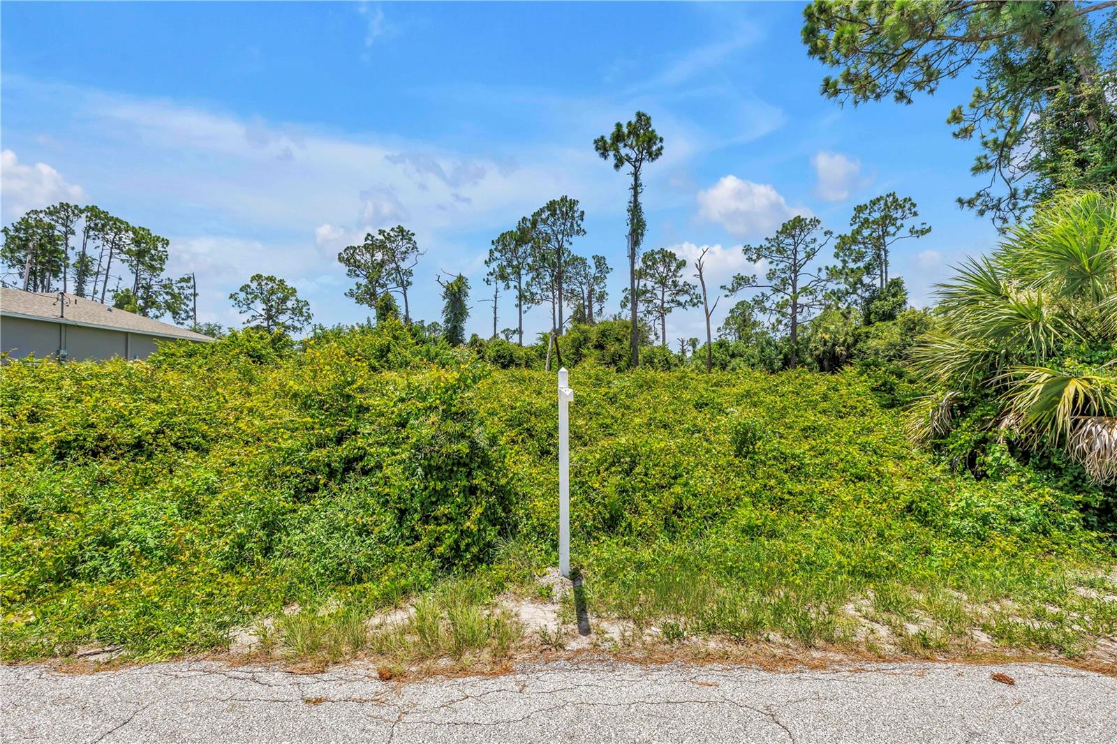Knotty Pine Ave Property Photo 16