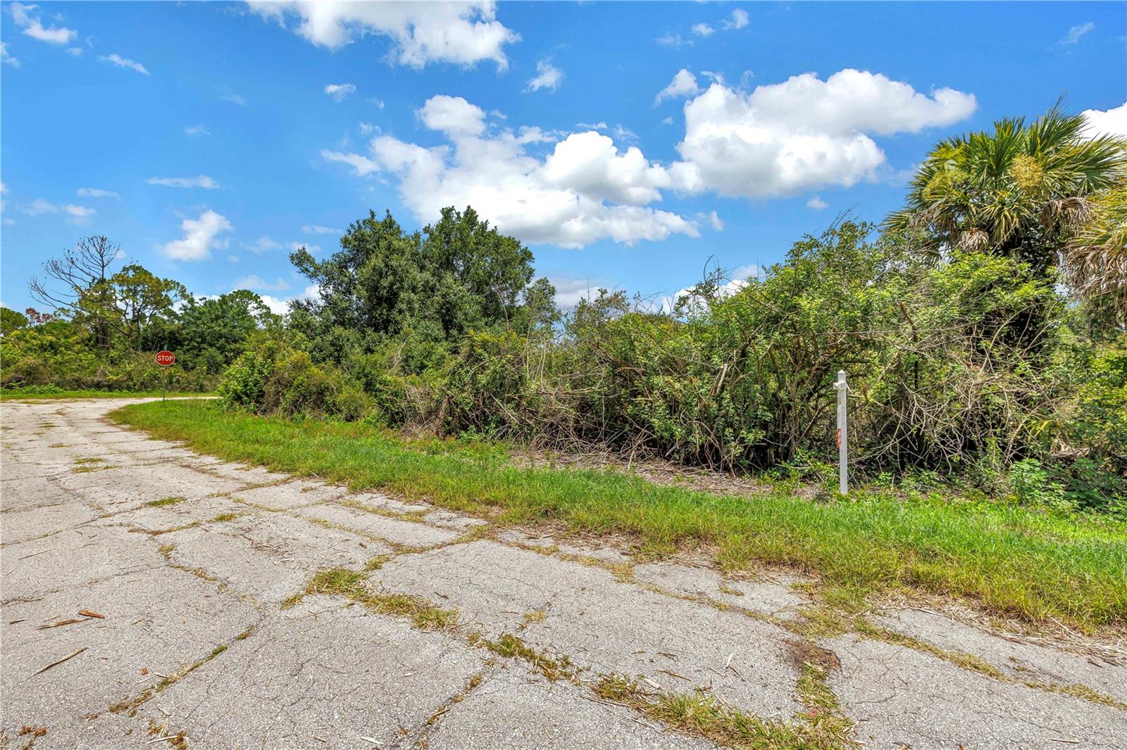 Hinshaw Ave Property Photo 16