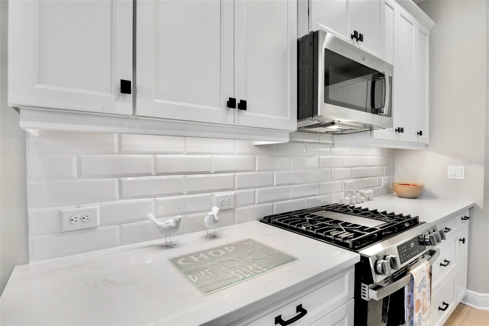 8091 Anthirium Loop Property Photo 13