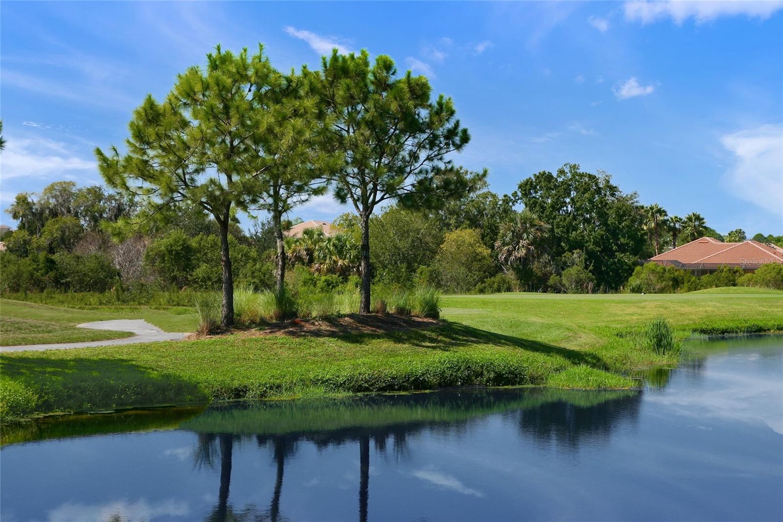 4562 Forest Wood Trl #15 Property Photo 39