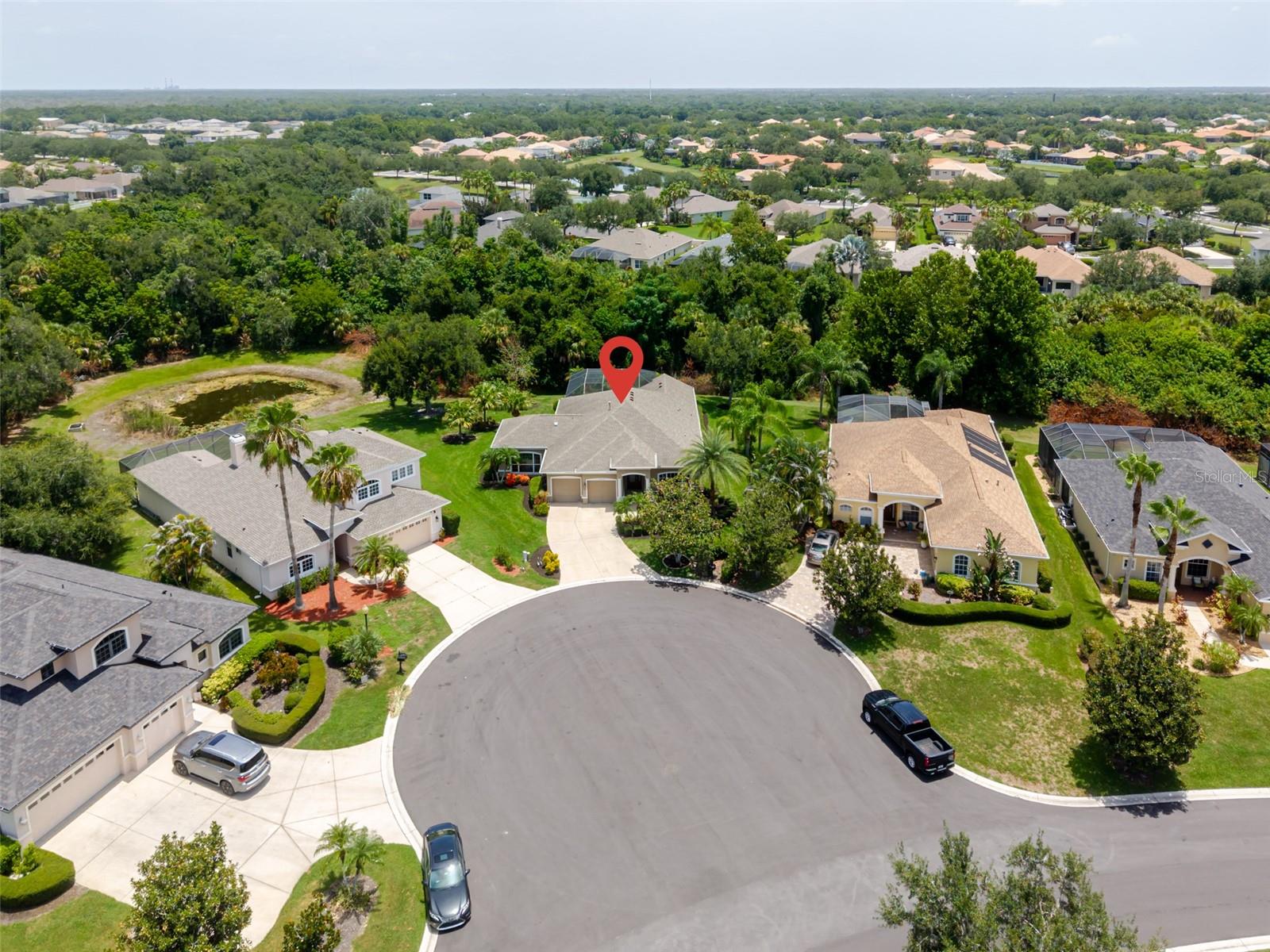 12344 Lavender Loop Property Photo 4
