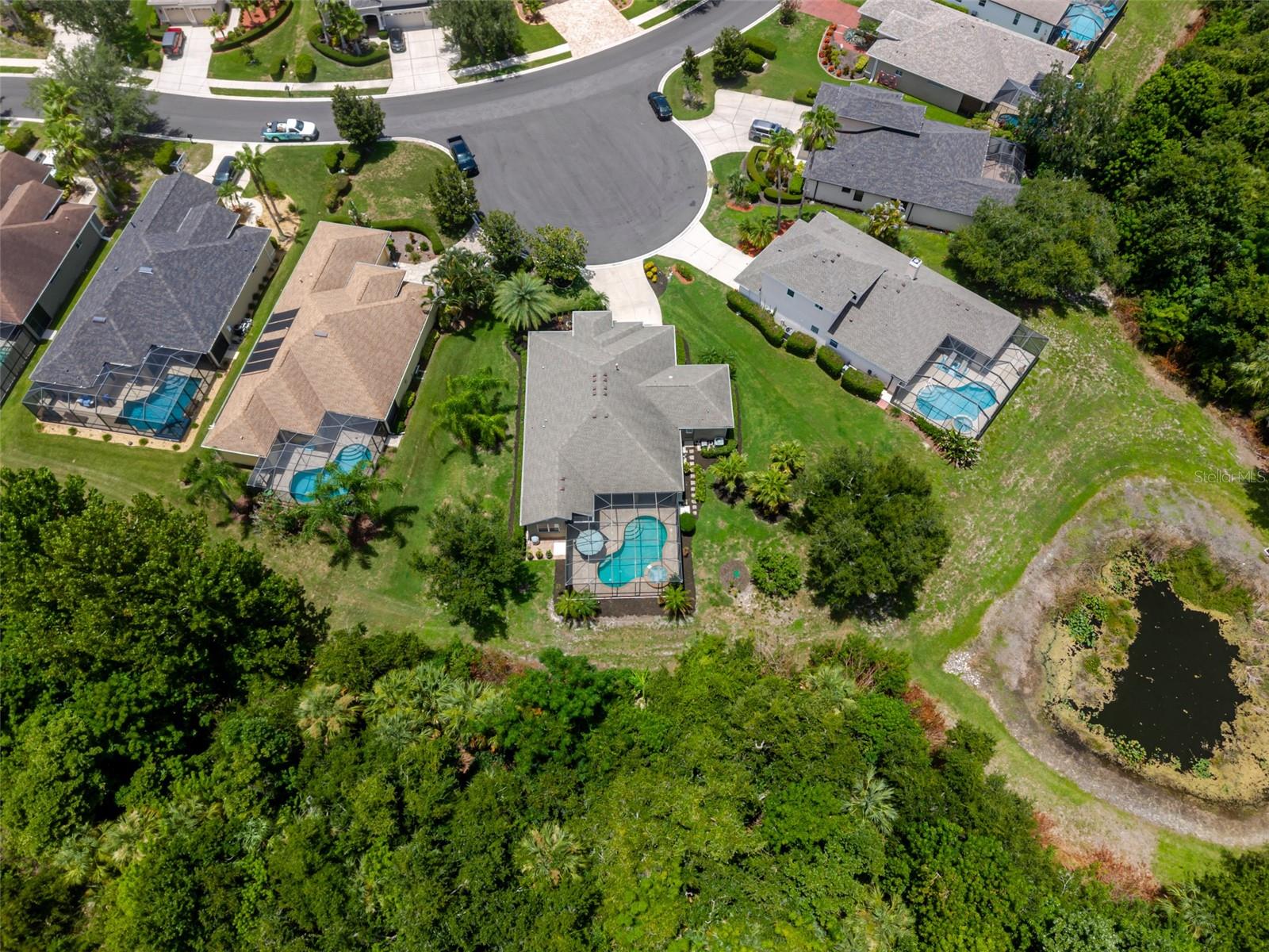 12344 Lavender Loop Property Photo 5