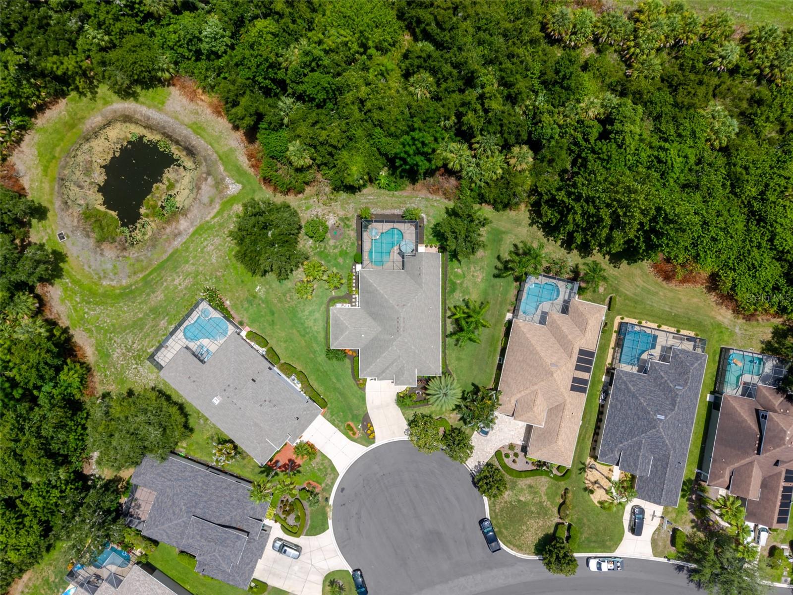 12344 Lavender Loop Property Photo 6