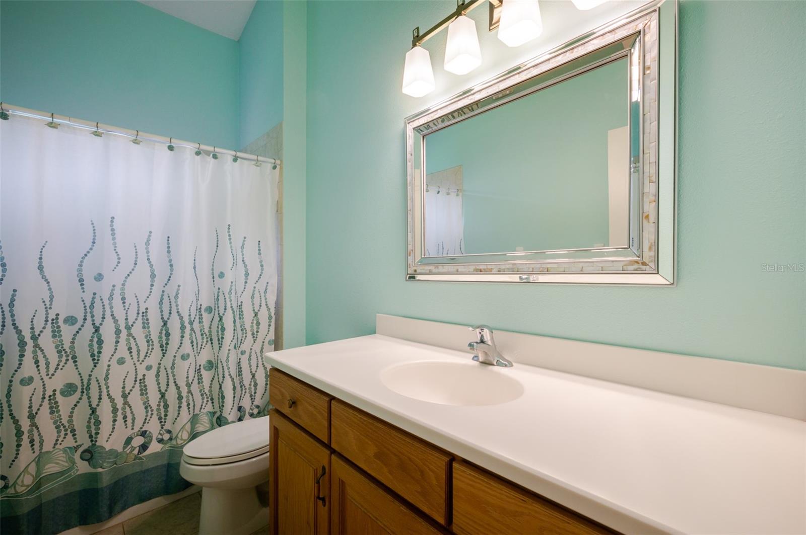 12344 Lavender Loop Property Photo 38