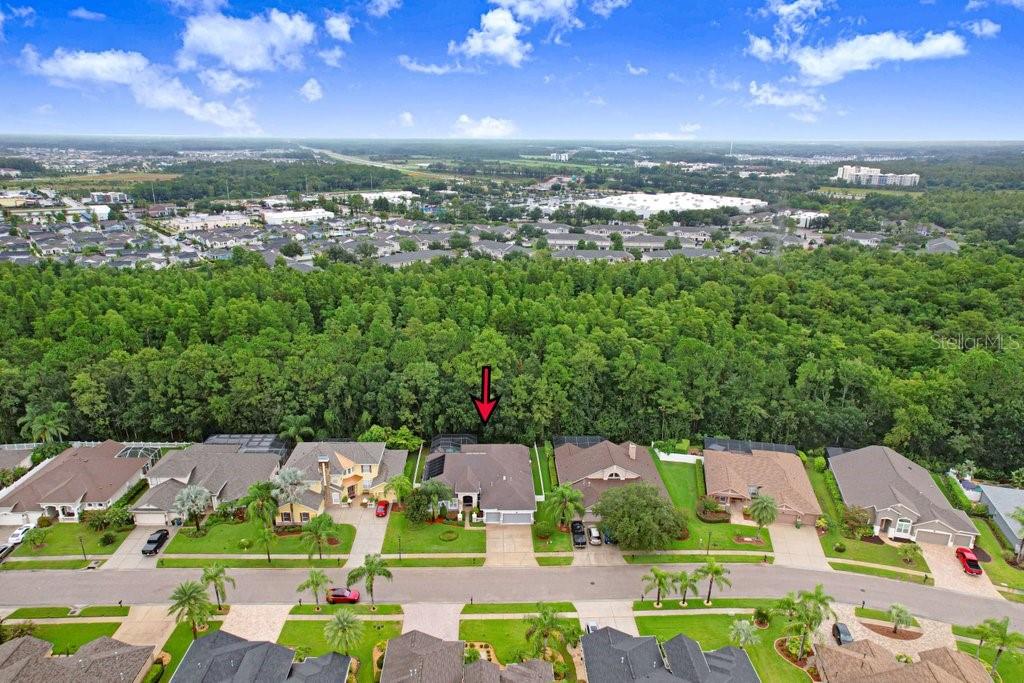16116 Ivy Lake Dr Property Photo 6