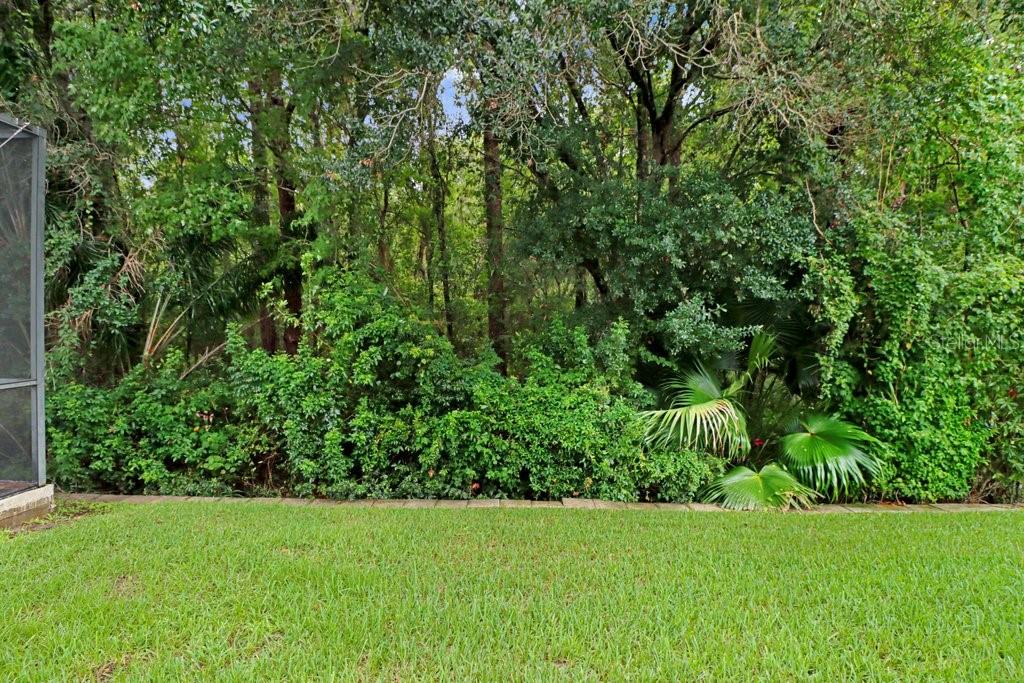16116 Ivy Lake Dr Property Photo 22