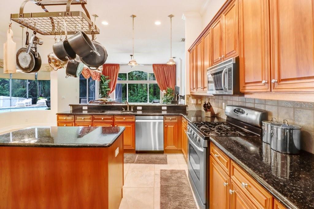16116 Ivy Lake Dr Property Photo 46