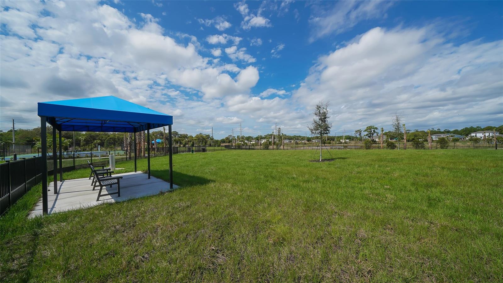 2566 Paradise Plum Dr Property Photo 60