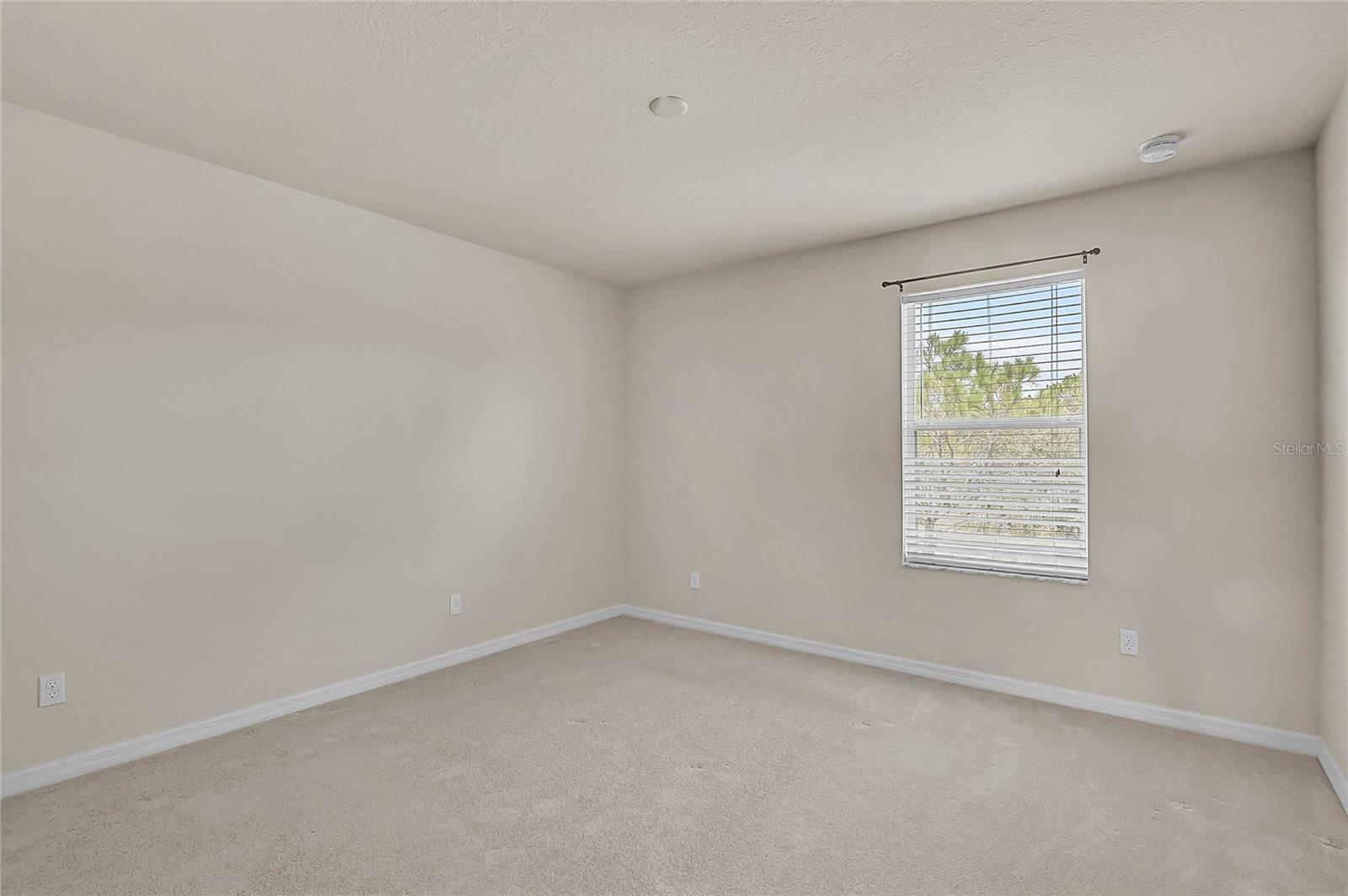 11691 Breadfruit Ln Property Photo 29