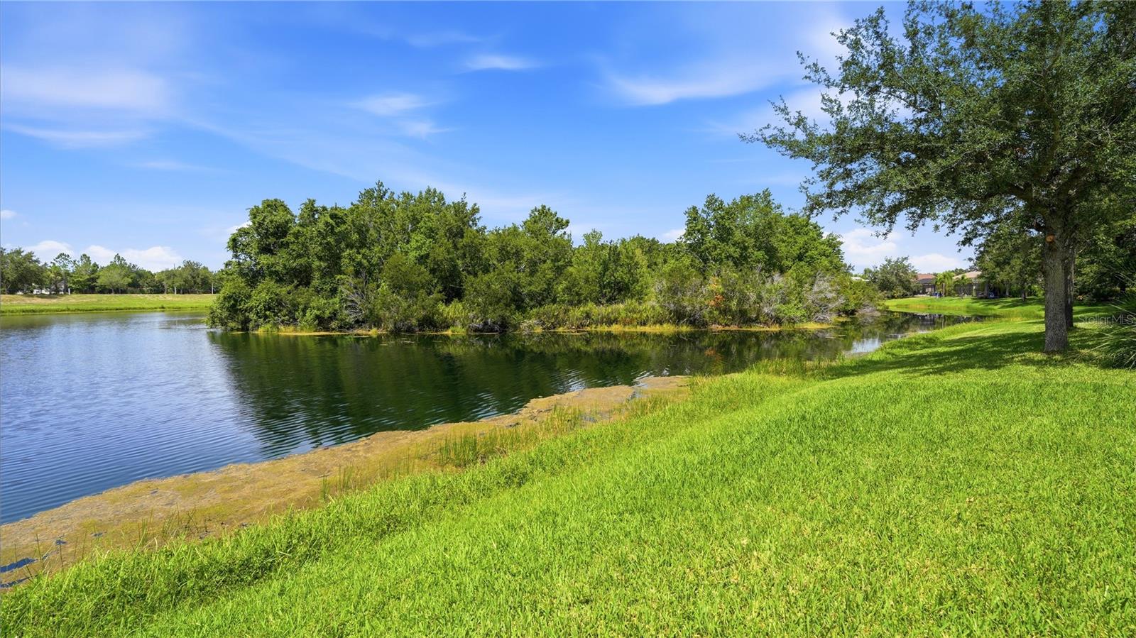 11352 White Rock Ter Property Photo 29