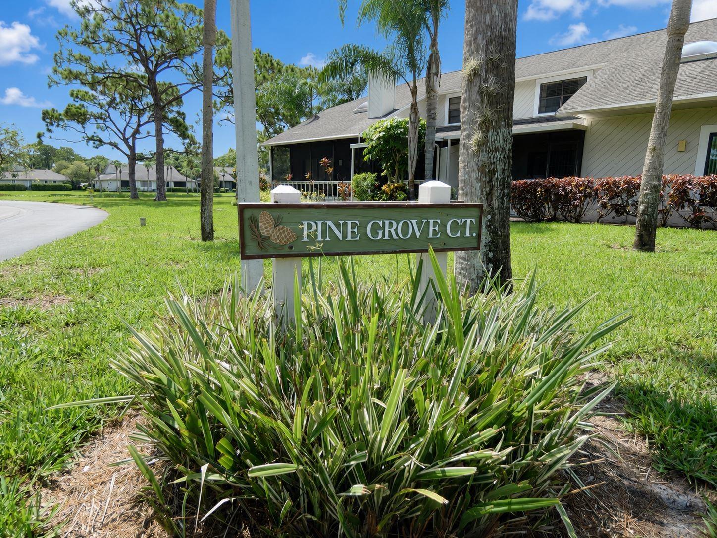 7917 Pinegrove Ct #1 Property Photo 26