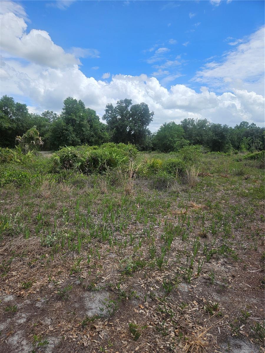 1865 Ne Cross Ave Property Photo 3