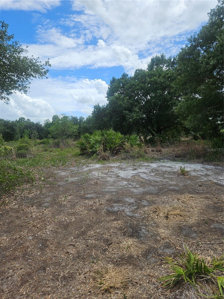 1865 Ne Cross Ave Property Photo 4