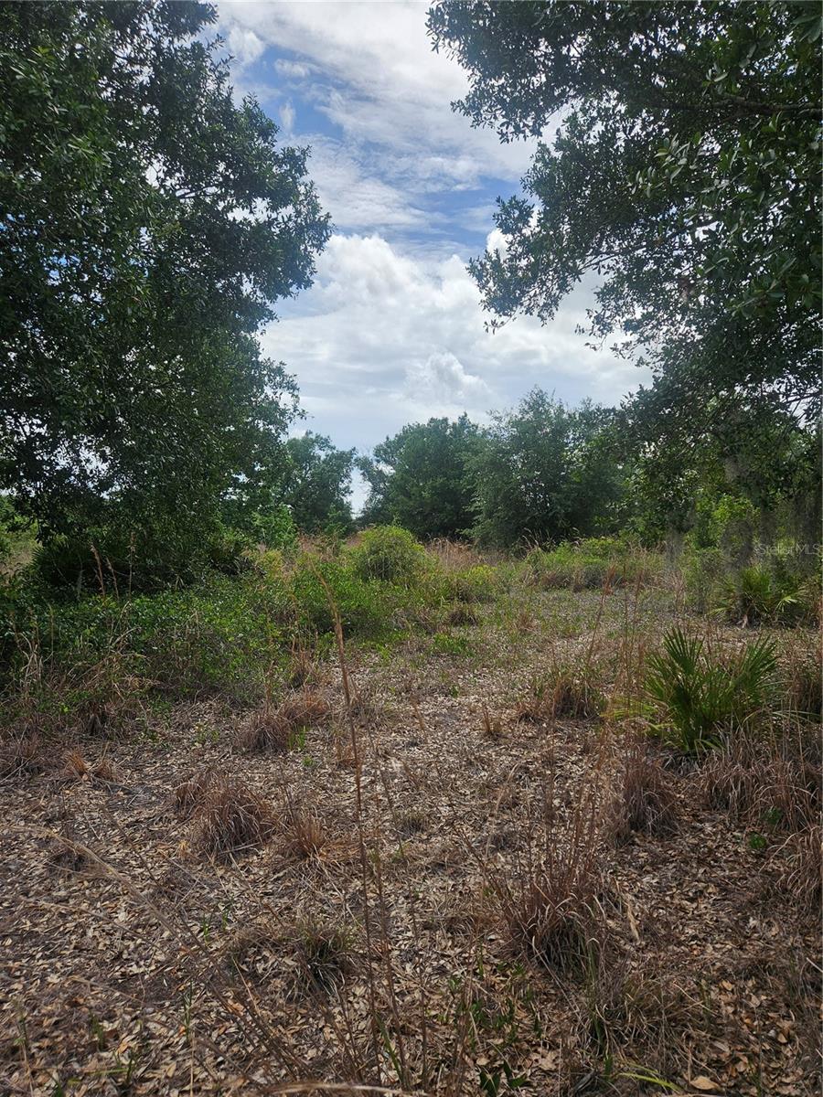 1865 Ne Cross Ave Property Photo 5